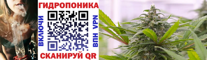 Названия наркотиков Высоцк Псилоцибиновые грибы  КОКАИН  Меф мяу мяу  Марихуана 